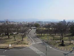 屋上から見た風景
