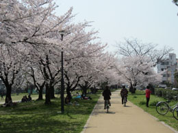 近所の公園